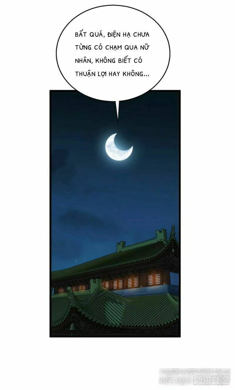 Bẩm Báo Công Chúa !: Chapter 28
