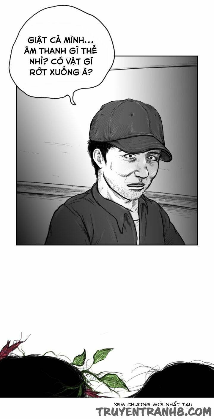 Hạt Giống Mỹ Nhân: Chapter 40