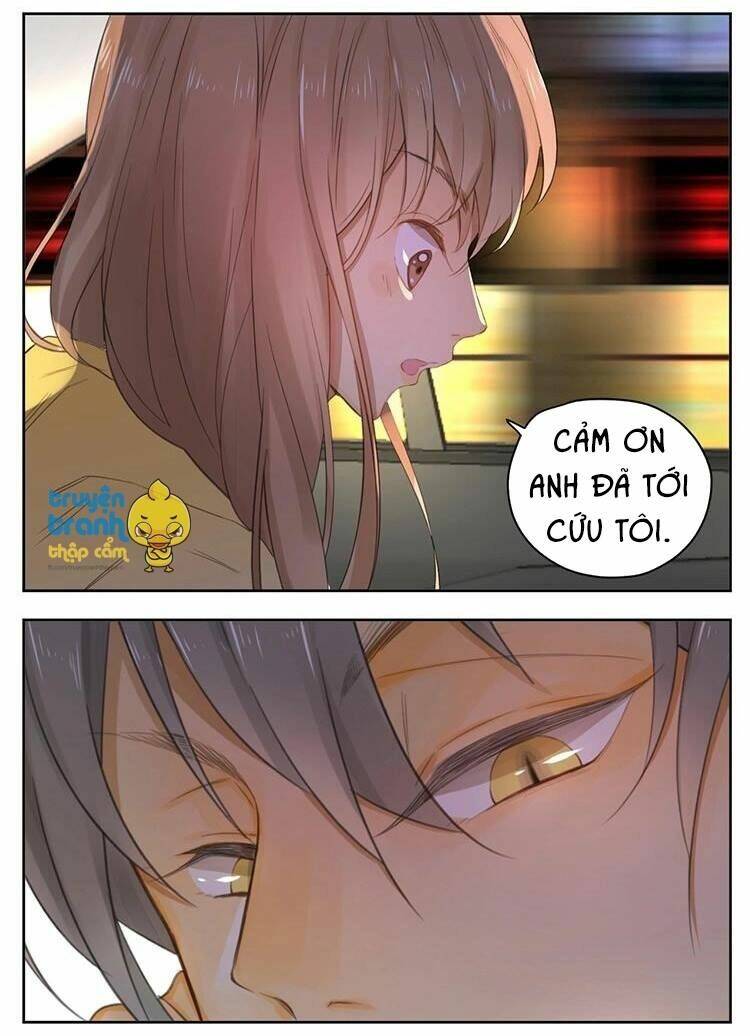 Cứu Mạng! Loài Mèo Thống Trị Thế Giới Rồi!: Chapter 26