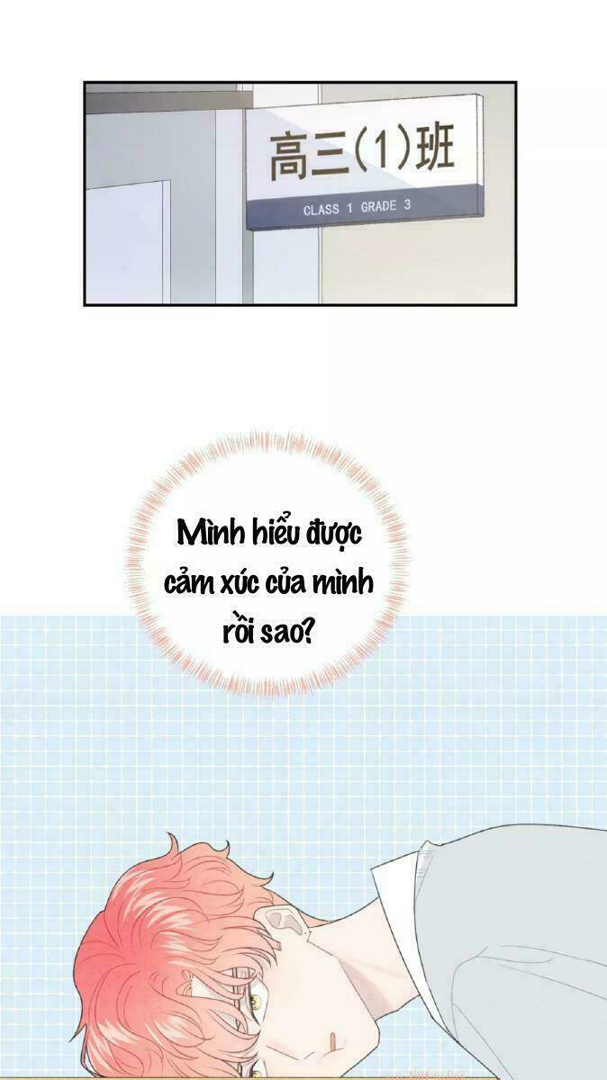 Từ Cái Nhìn Của Em: Chapter 35