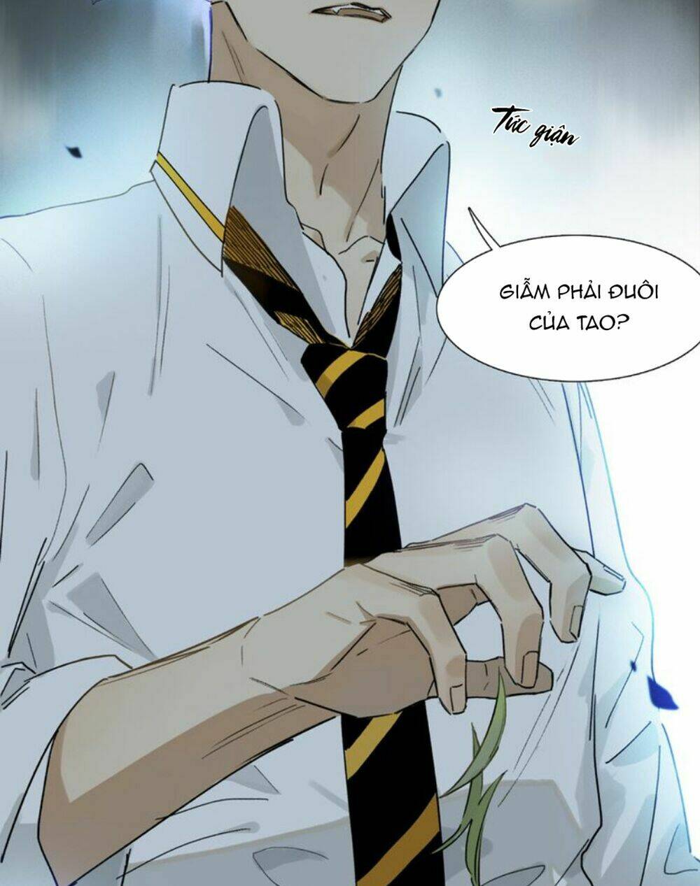 Phép Tắc Trường Ogus: Chapter 5