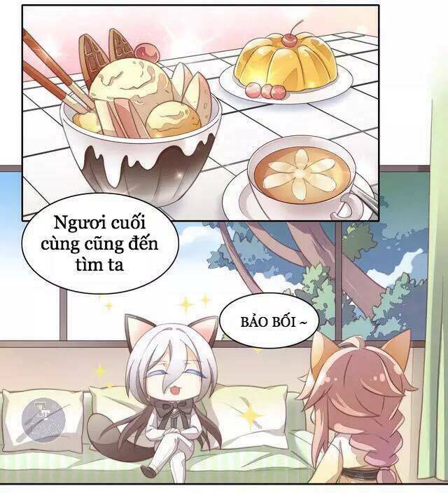 Dưới Móng Vuốt Mèo: Chapter 15
