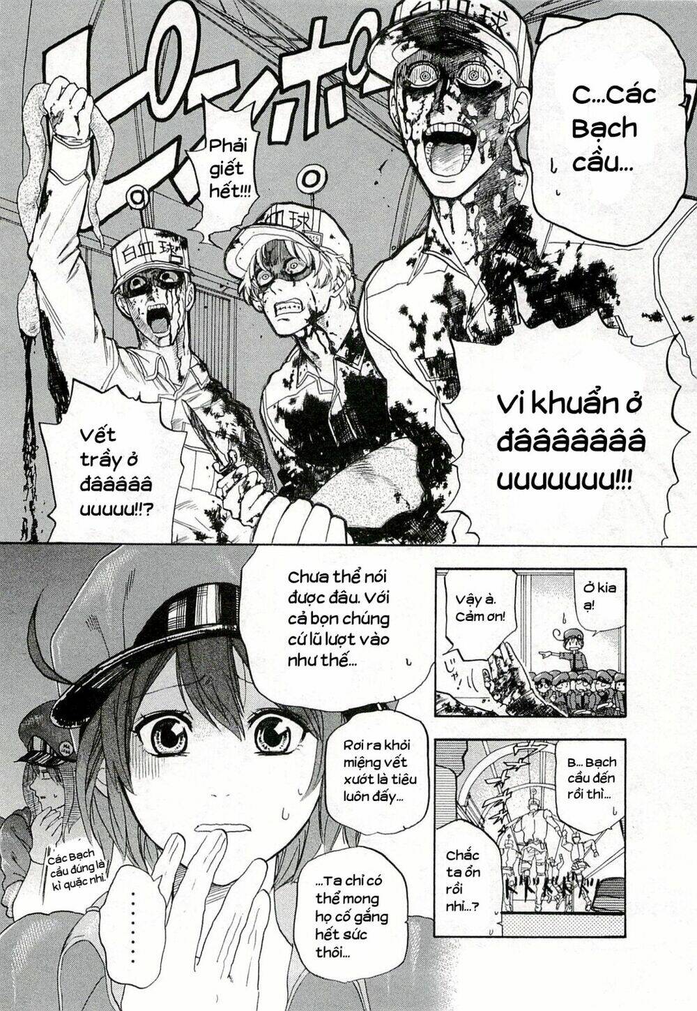 Hataraku Saibou!: Chapter 4