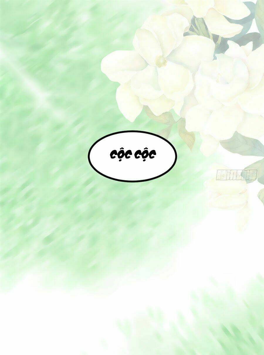 Ngọc Vi Mai: Chapter 7