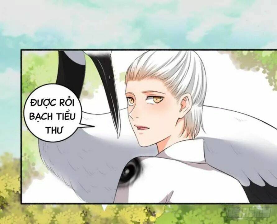 Cuồng Phi Phách Lối: Chapter 77