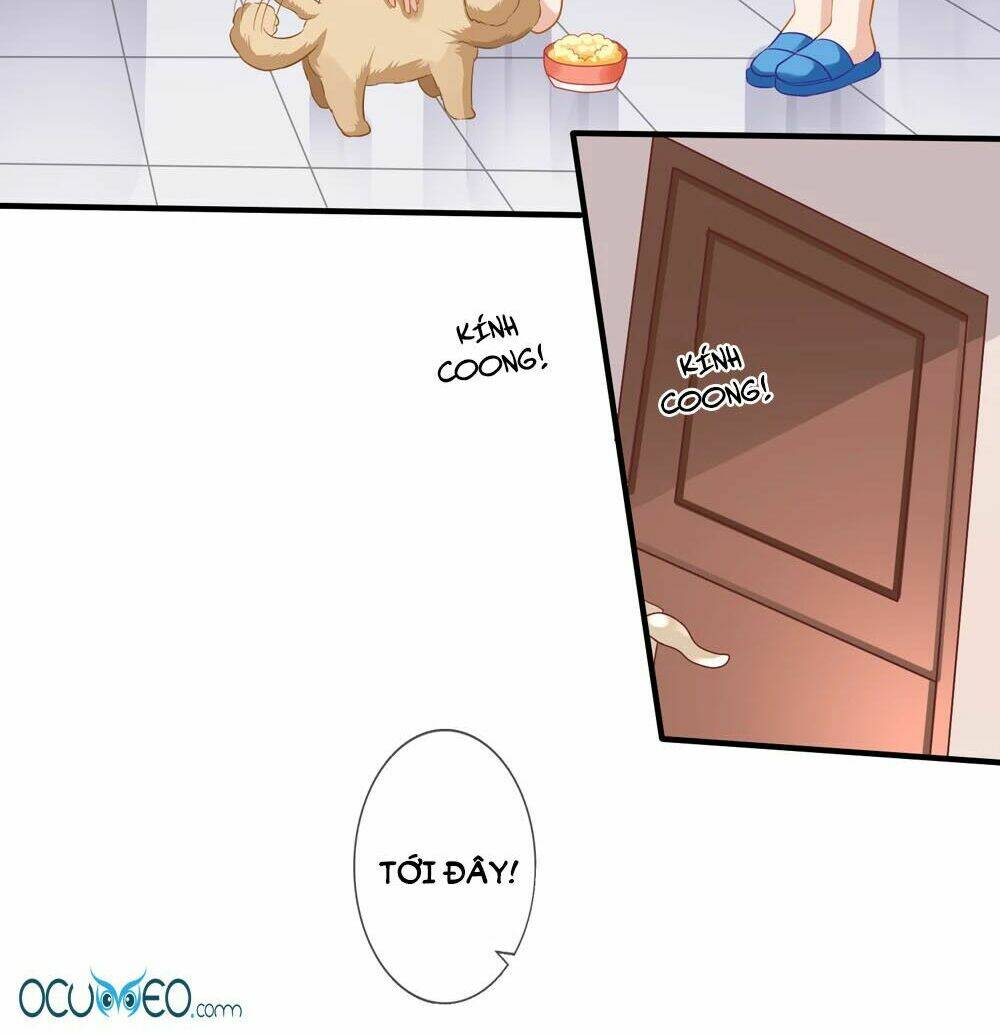 Mỹ Vị Giai Thê: Chapter 16