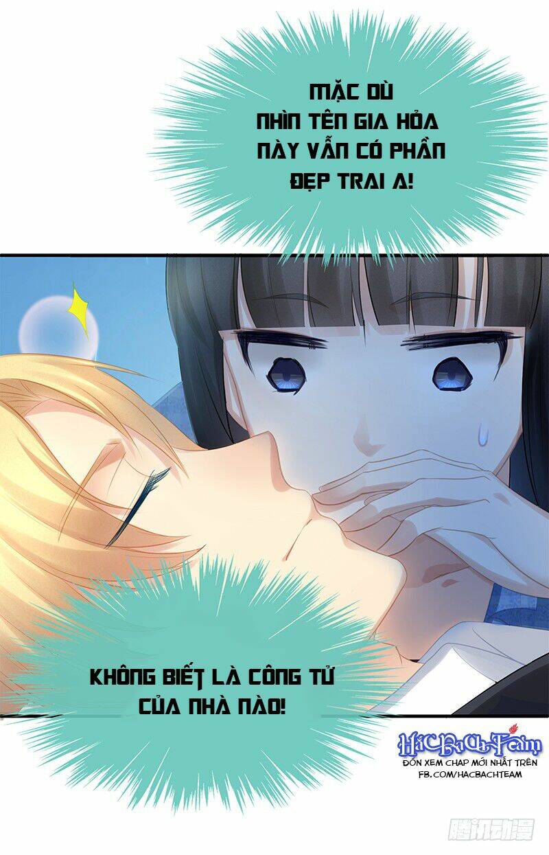 Ngạo Kiều Bảo Phiêu Đích Tuần Dưỡng Thủ Tắt: Chapter 5