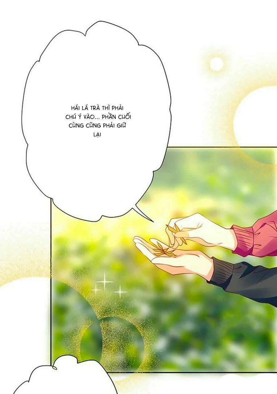 Bạn Trai Là Ngôi Sao: Chapter 71