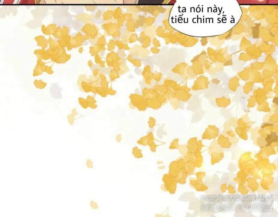 Tước Kiều Tiên: Chapter 1.2