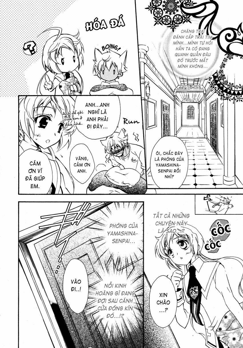 S.L.H (Stray Love Hearts): Chapter 5