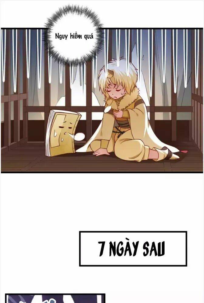 Tiểu Hoàng Thư Và Tiểu Hoàng Thúc: Chapter 68