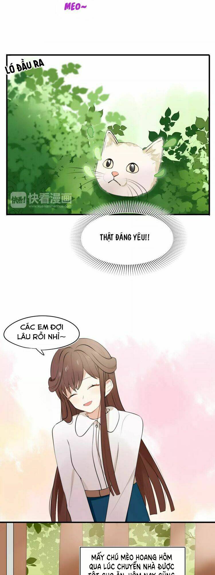 Tiểu Miêu Và Hắc Diệu Thạch: Chapter 1