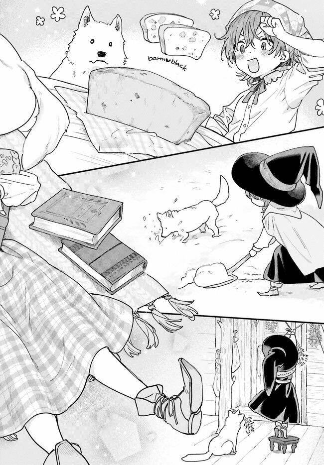 Aria Trong Rừng Sồi: Chapter 1.3