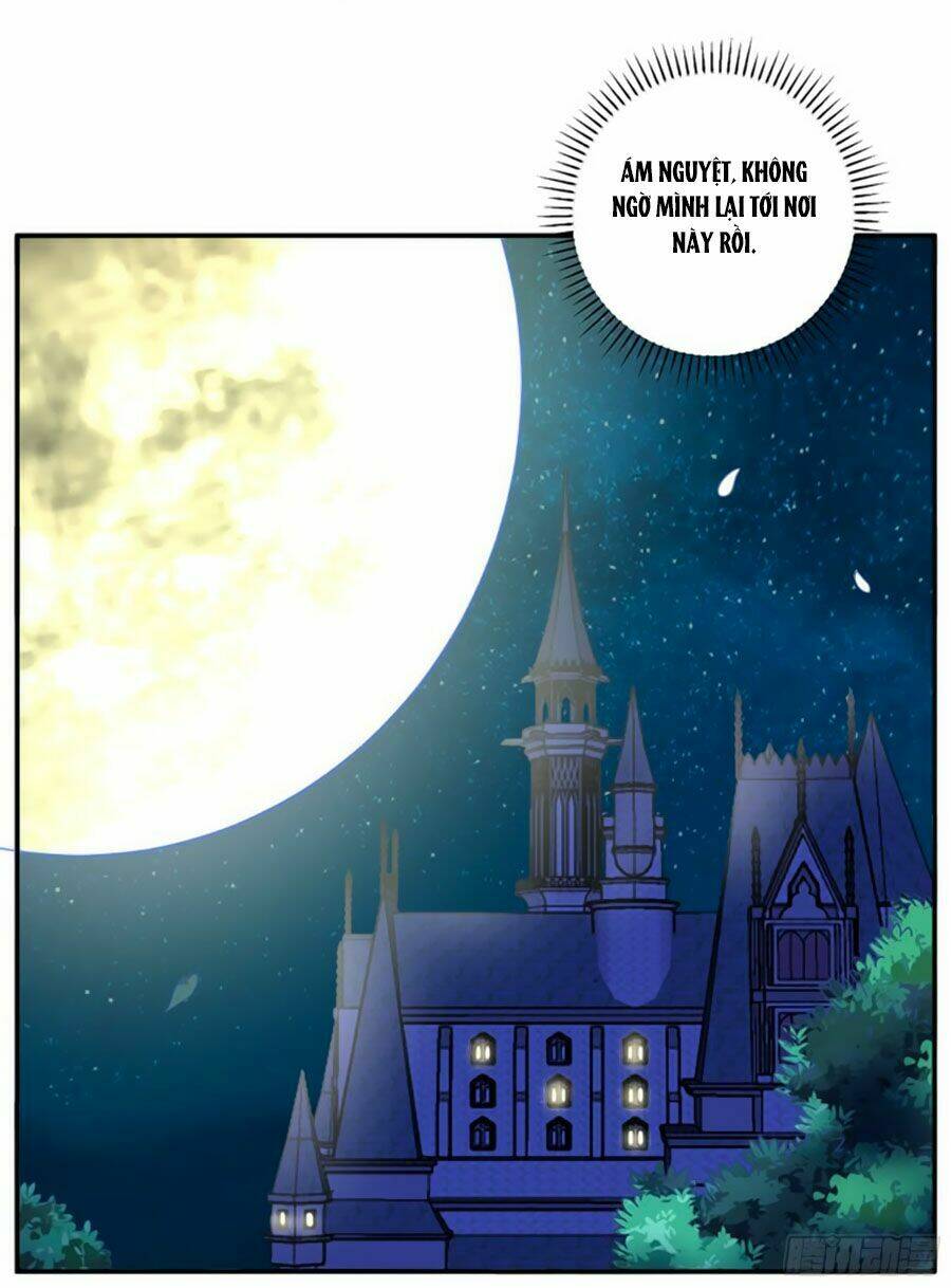 Người Yêu Khát Máu Của Tôi: Chapter 84