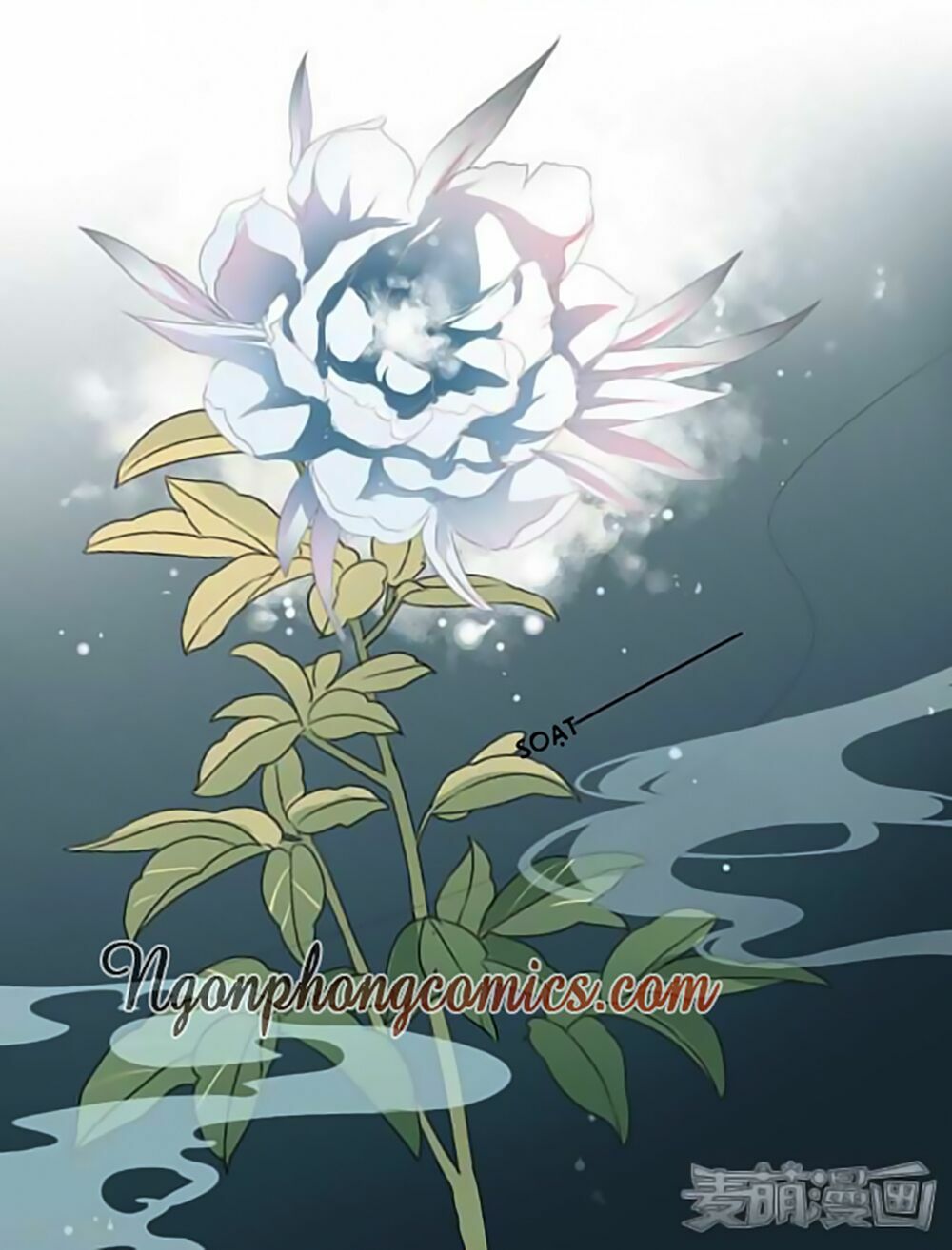 Quy Tự Dao: Chapter 16