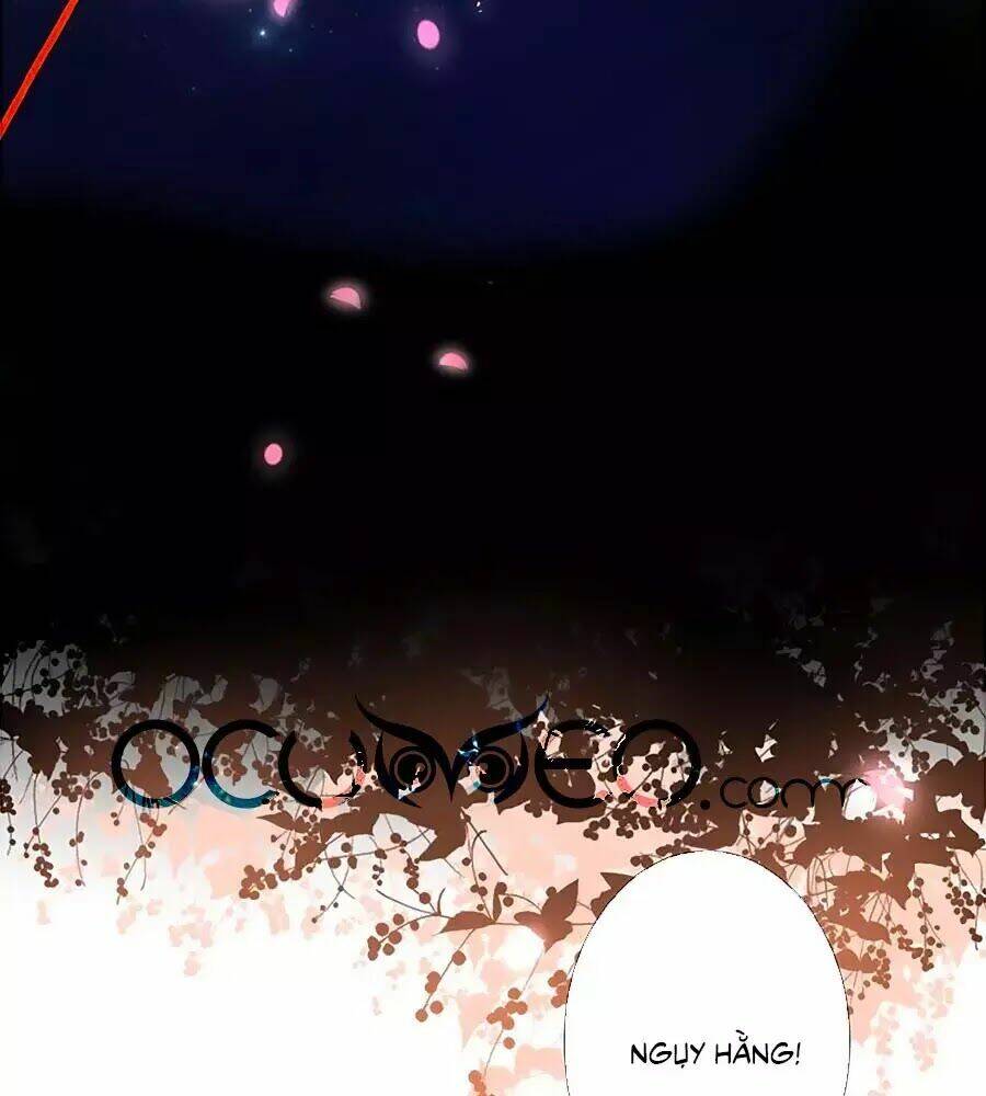 Đóa Hoa Chớm Nở: Chapter 23