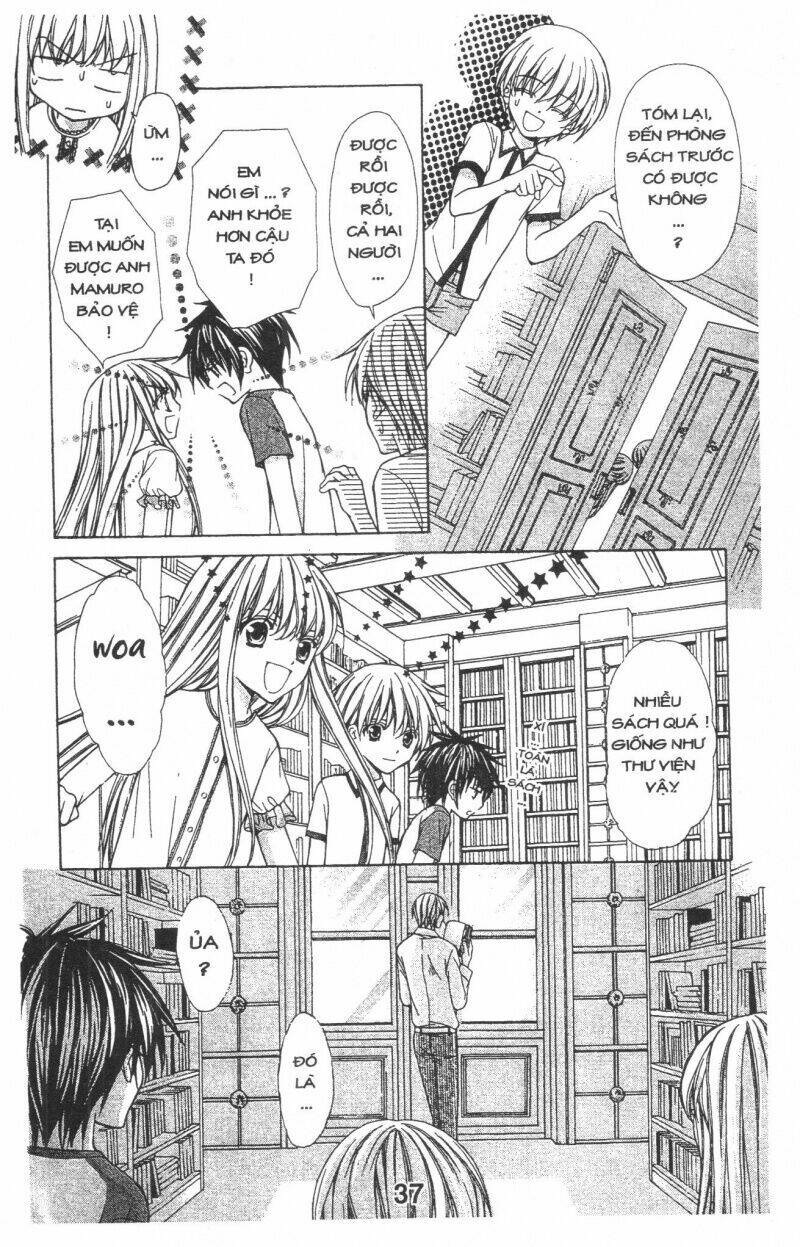 Trái Tim Kim Cương: Chapter 1