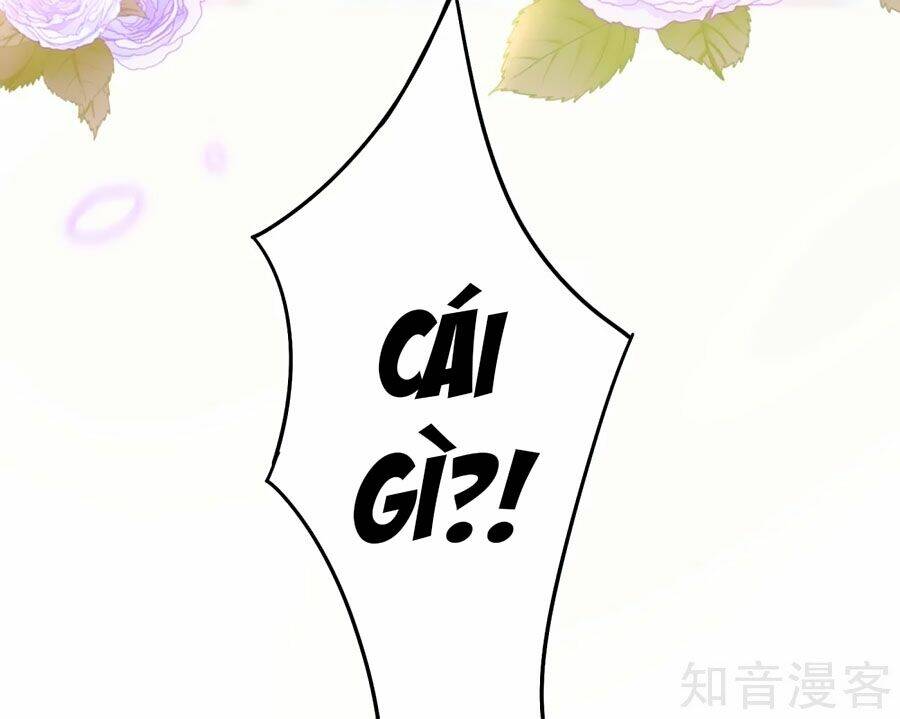 Sủng Hậu Của Vương: Chapter 39