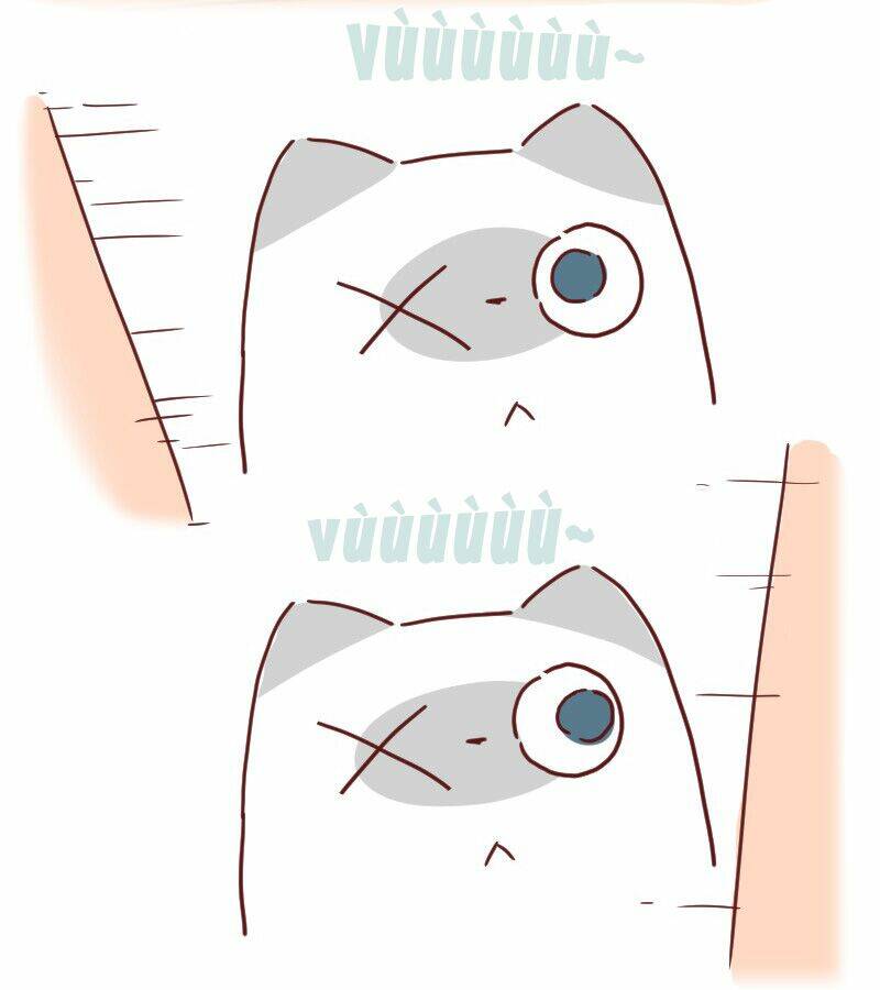 Saphie: Chú mèo một mắt: Chapter 27