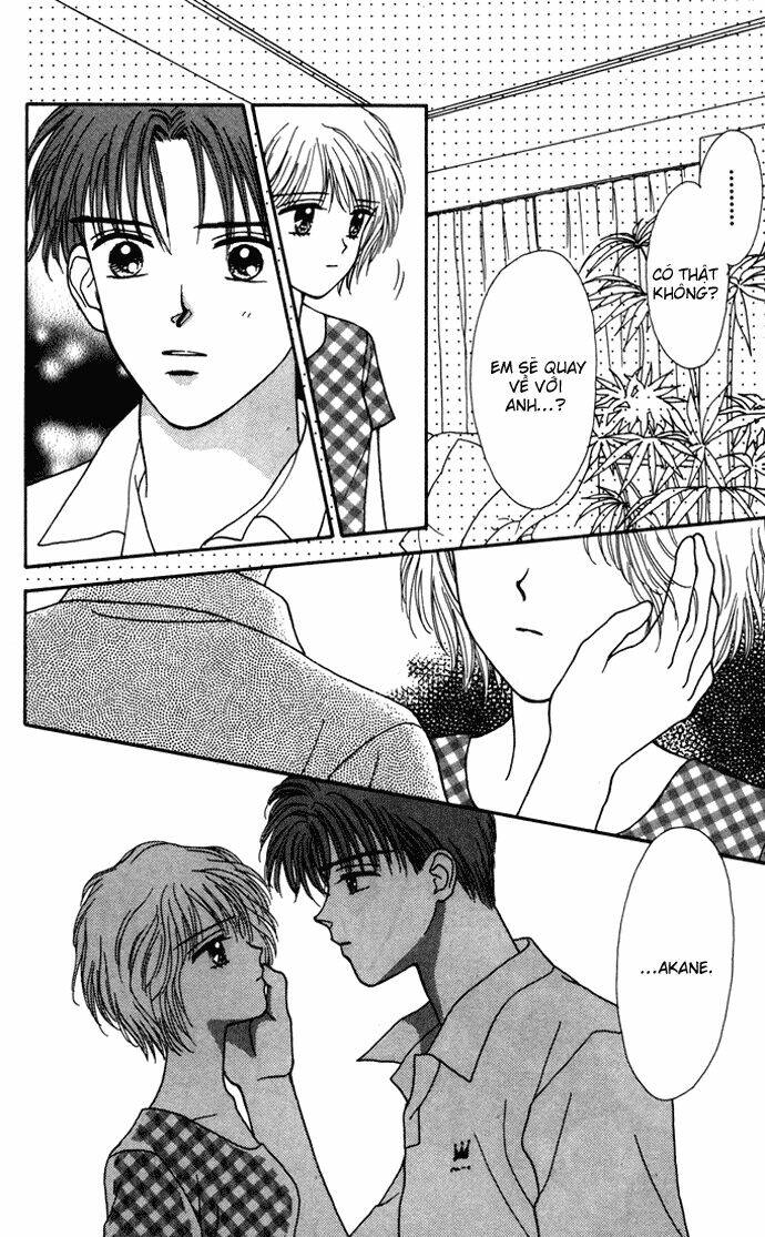 Kimi Shika Iranai: Chapter 8