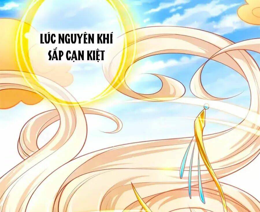 Phụng Lâm Thiên Hạ: Đệ Nhất Mỹ Nữ: Chapter 2