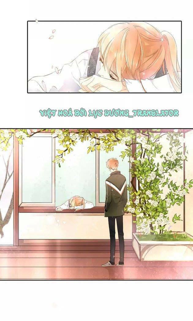 Tình yêu là màu hoa anh thảo: Chapter 20.5