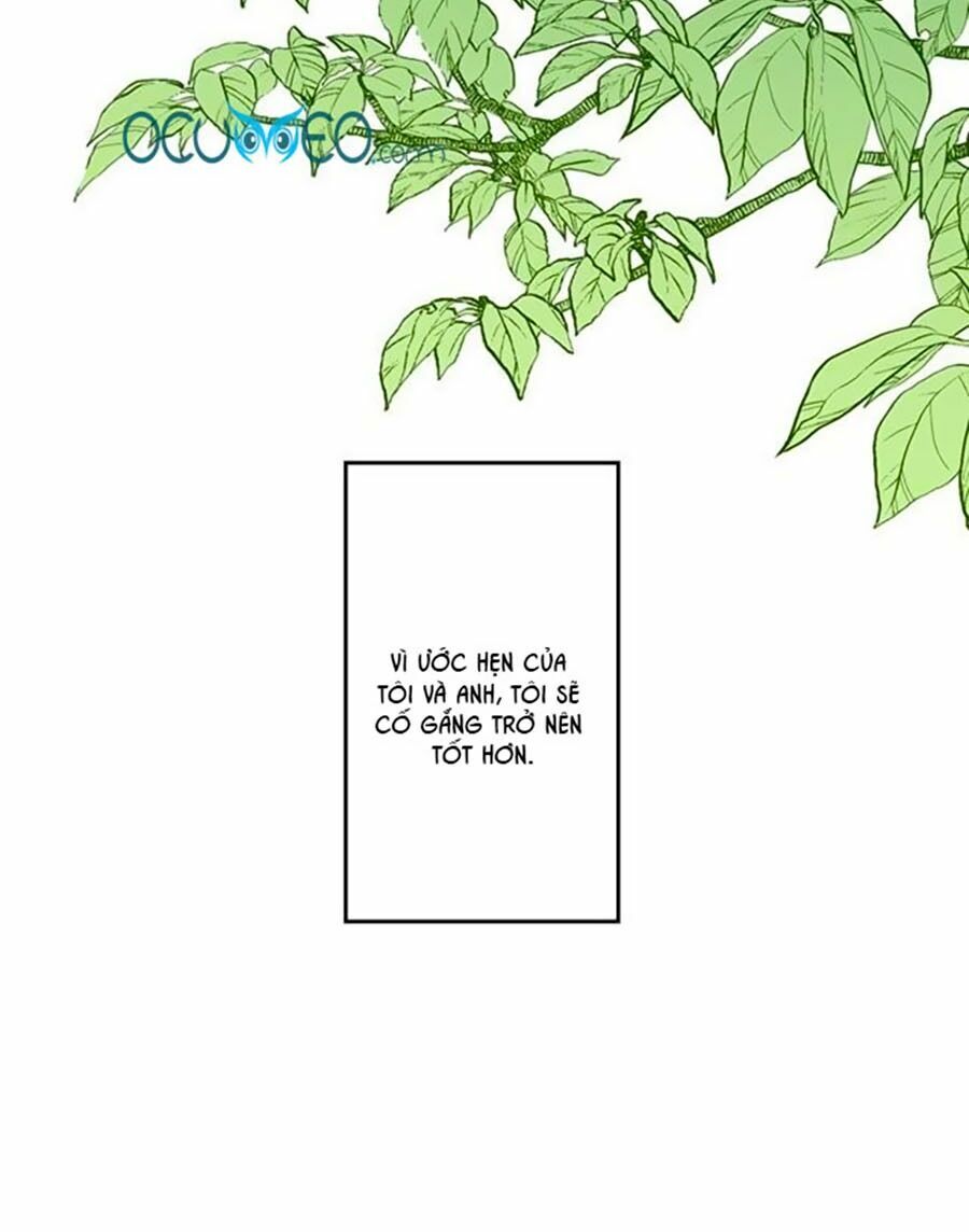 Bài Ca Tình Yêu: Chapter 8