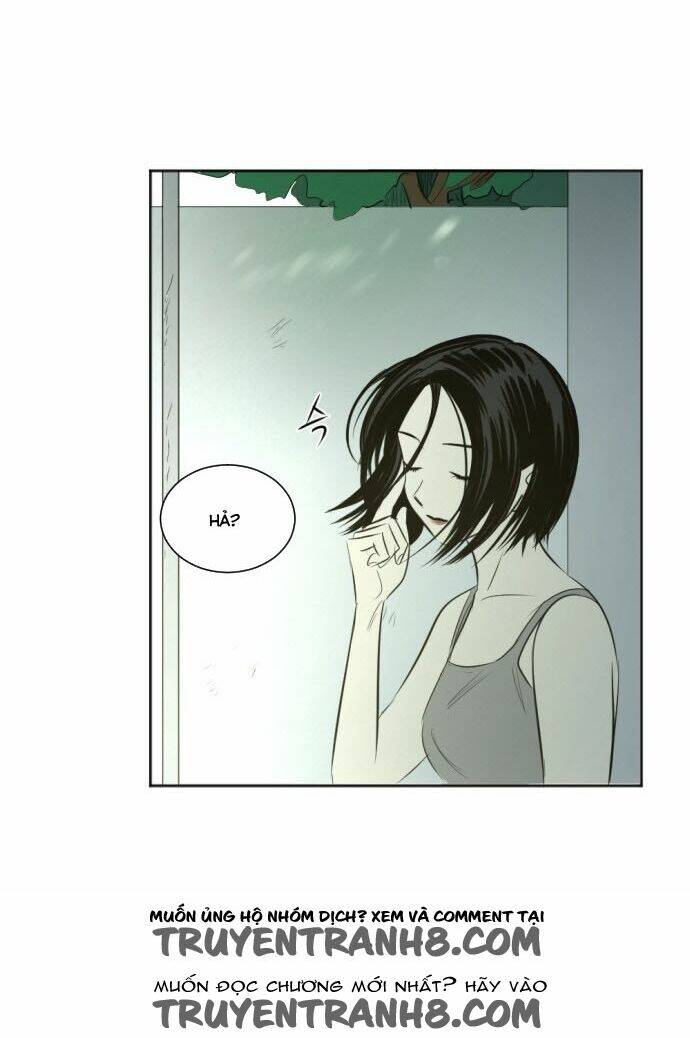 Transparent Cohabitation: Chapter 31