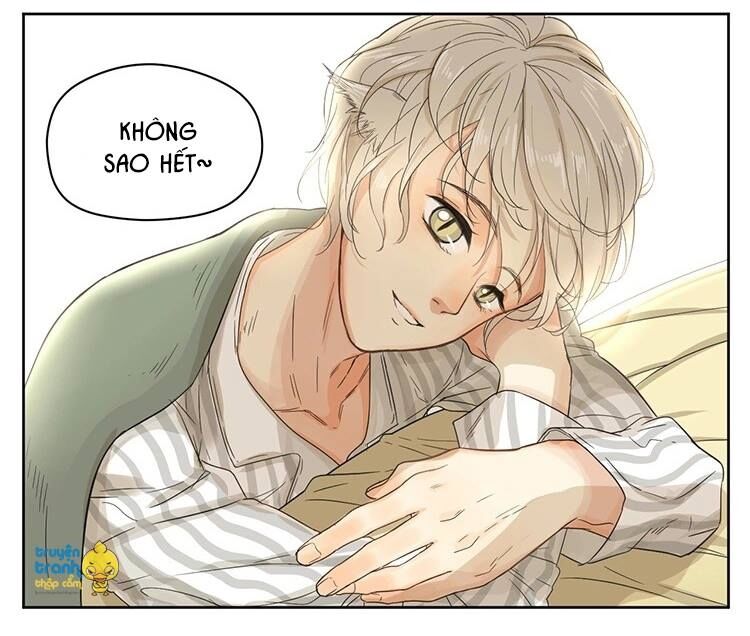 Cứu mạng ! Loài mèo thống trị thế giới rồi !: Chapter 14