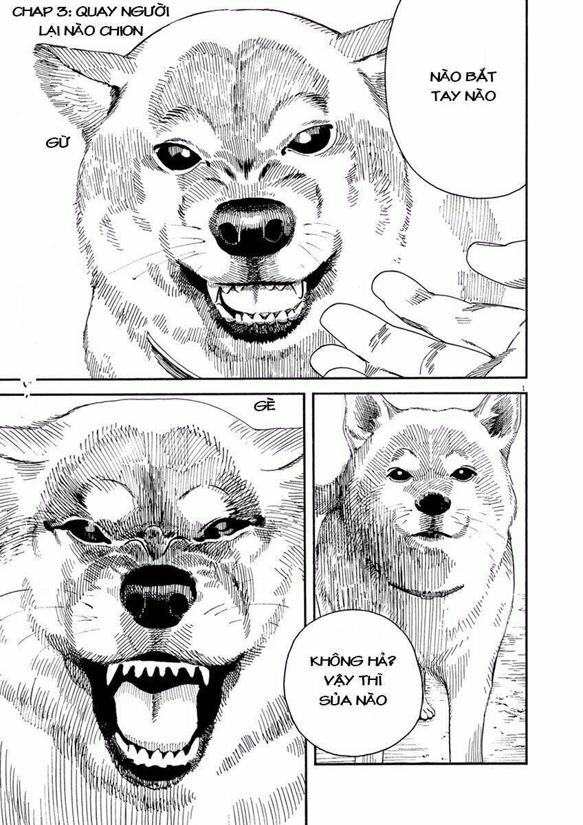 Neko No Otera No Chion-San: Chapter 3