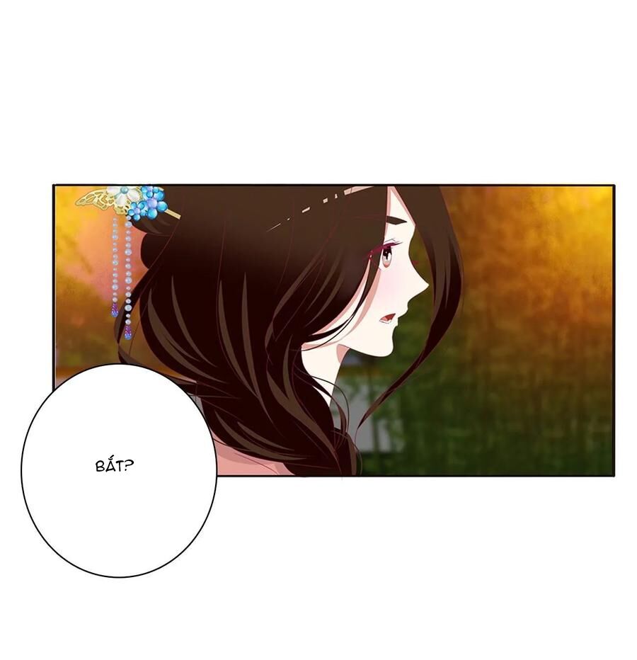Thông Linh Phi: Chapter 624