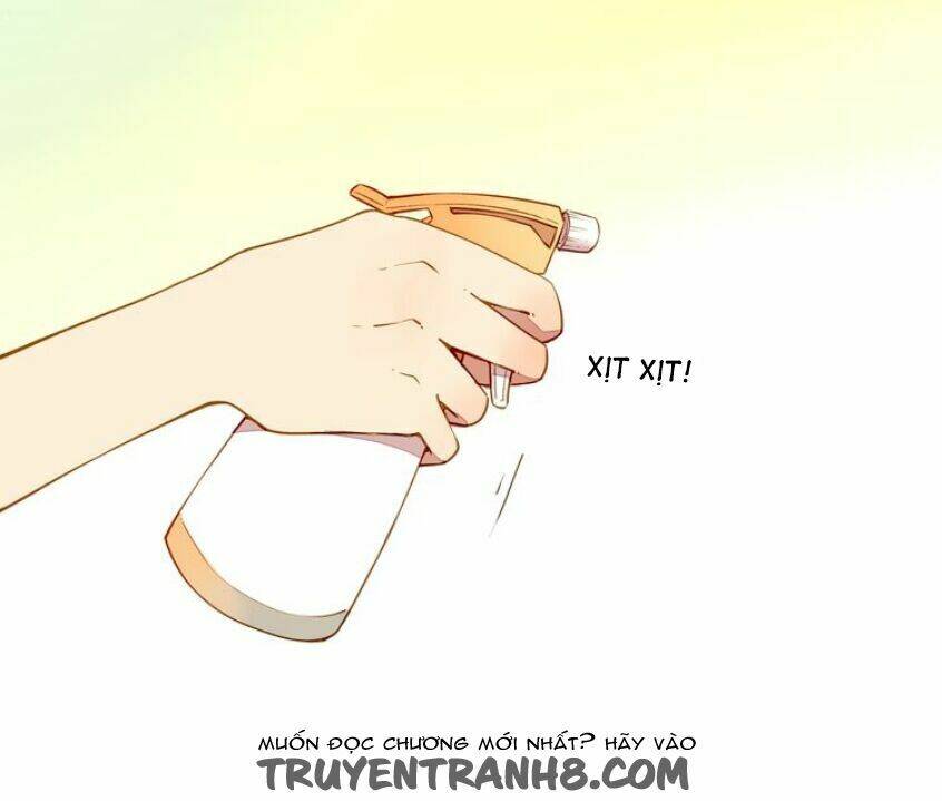 Tại Hạ Là Thần Tình Yêu: Chapter 24