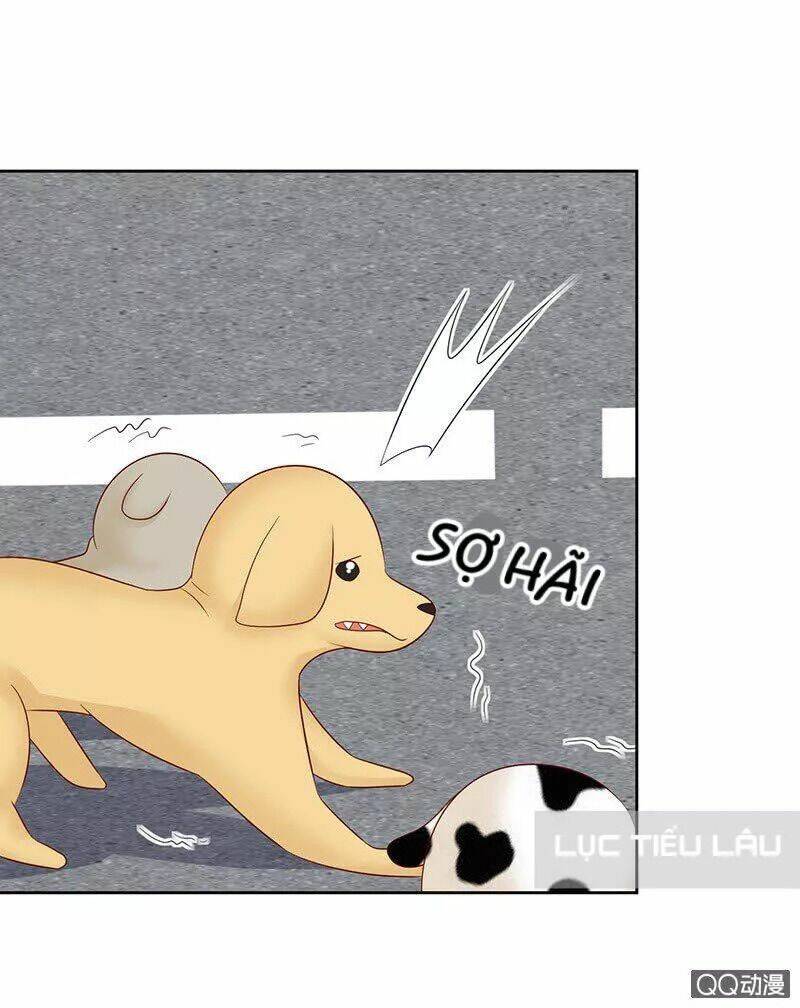 Băng Sơn Học Trưởng Không Được Chọc: Chapter 9