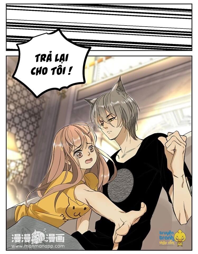 Cứu mạng ! Loài mèo thống trị thế giới rồi !: Chapter 11