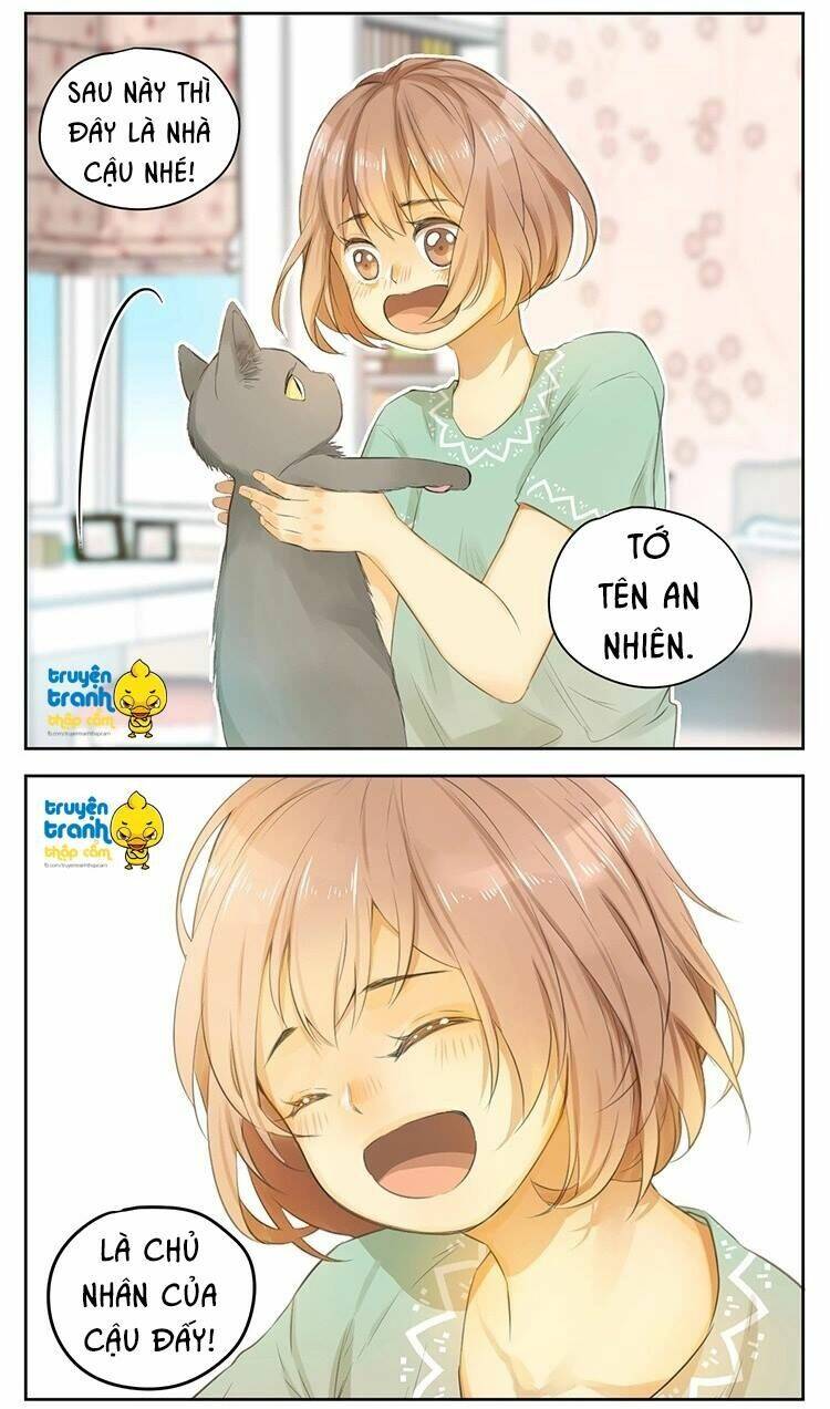 Cứu Mạng! Loài Mèo Thống Trị Thế Giới Rồi!: Chapter 24