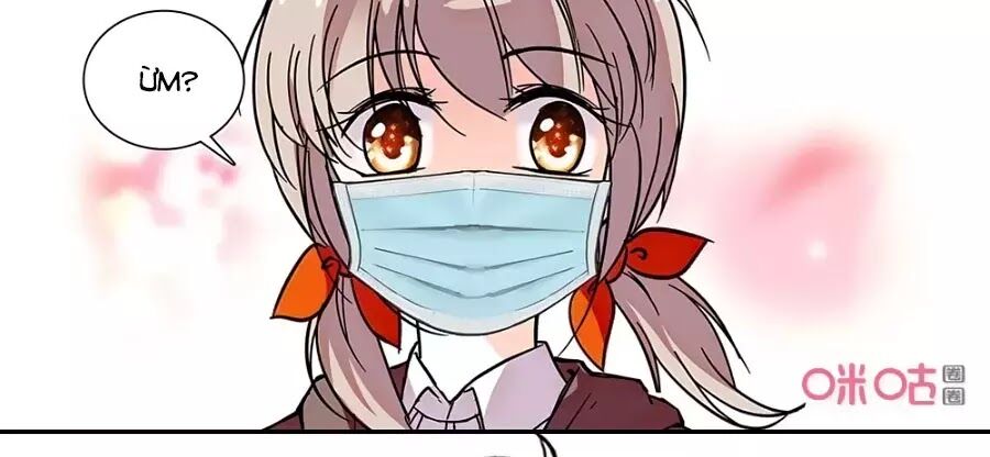 Thanh Ninh Chi Hạ: Chapter 443