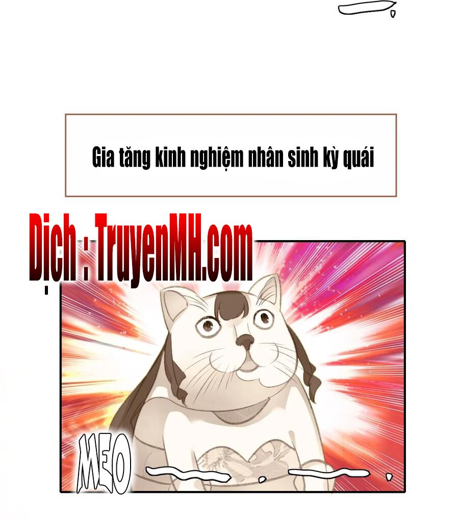 Gả Cho Một Tên Thái Giám Đáng Ghét: Chapter 122