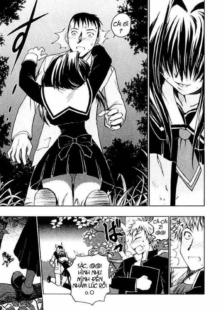 Little Vampire: Chapter 1