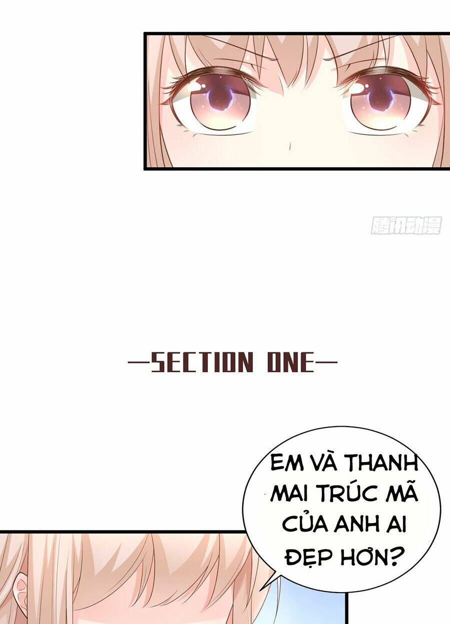 Tư Sủng Cục Cưng Bảo Bối: Chapter 21