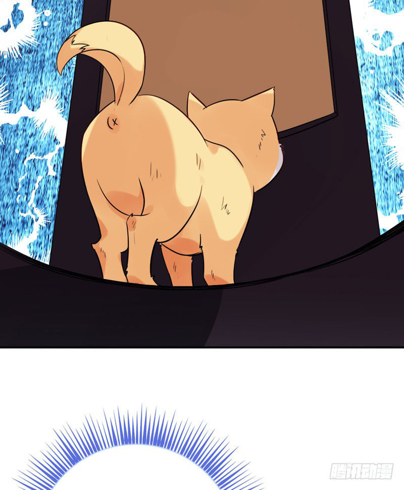 Lụ Đạn, Hôm Nay Lại Cũng Không Thể Biến Thành Người Được: Chapter 3