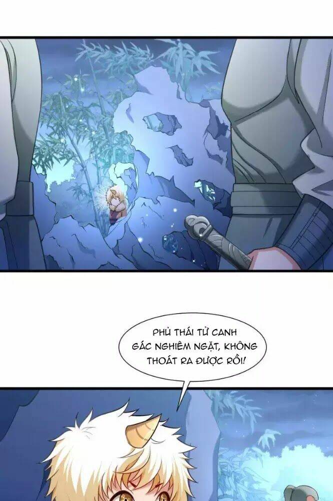 Tiểu Hoàng Thư Và Tiểu Hoàng Thúc: Chapter 65