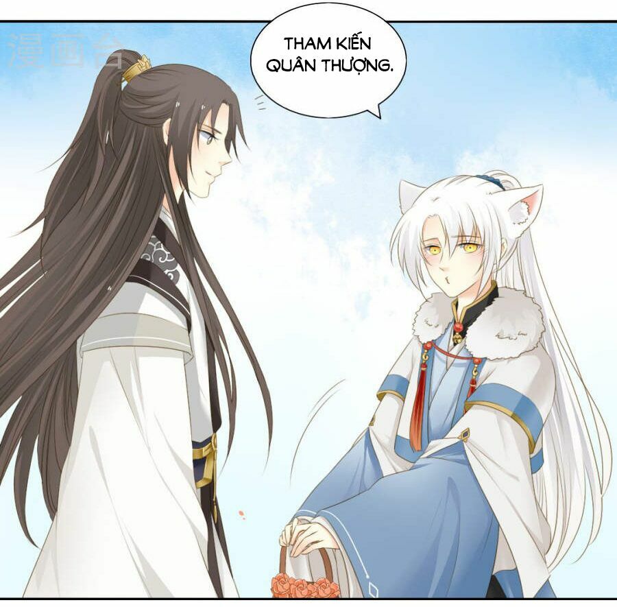Quy Tự Dao: Chapter 74