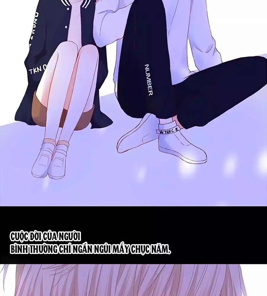 Hoa Chưa Nở Rộ: Chapter 21