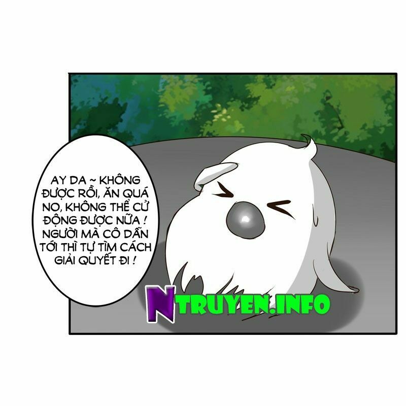 Thông Linh Phi: Chapter 36