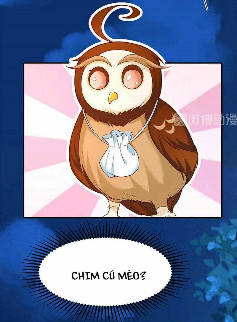 Nam Thần Truy Thê Chỉ Nam: Chapter 106.2