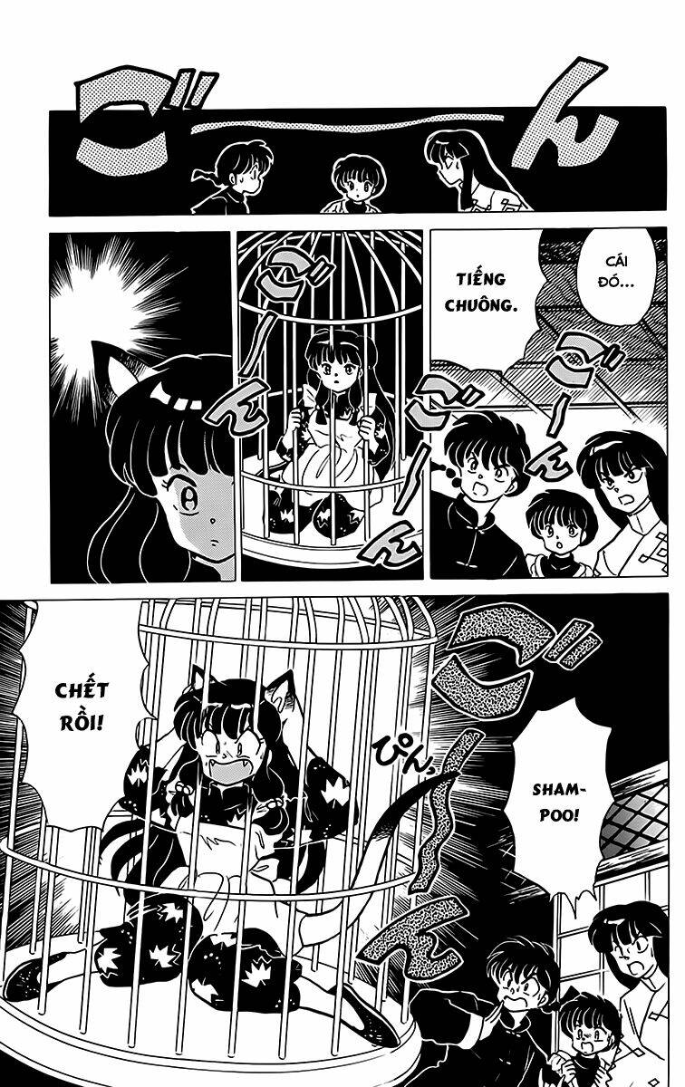 Suối Lời Nguyền: Chapter 209