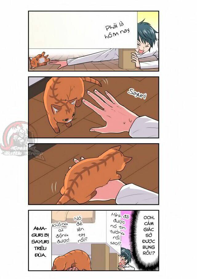 Cat is silver vine: Chapter 28