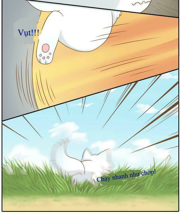 Tiểu Hồ Ly vs Tiểu Hóa Thượng: Chapter 9