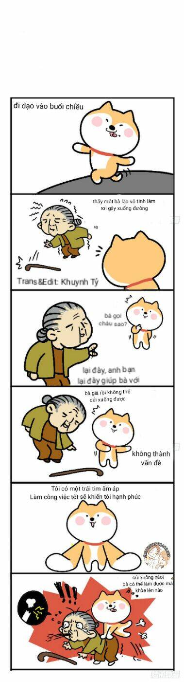 Anh Em Shiba: Chapter 11