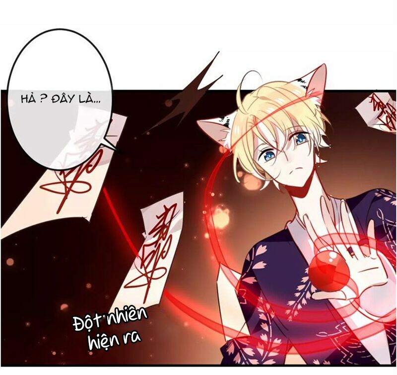 Ngô hoàng tại thượng: Chapter 5
